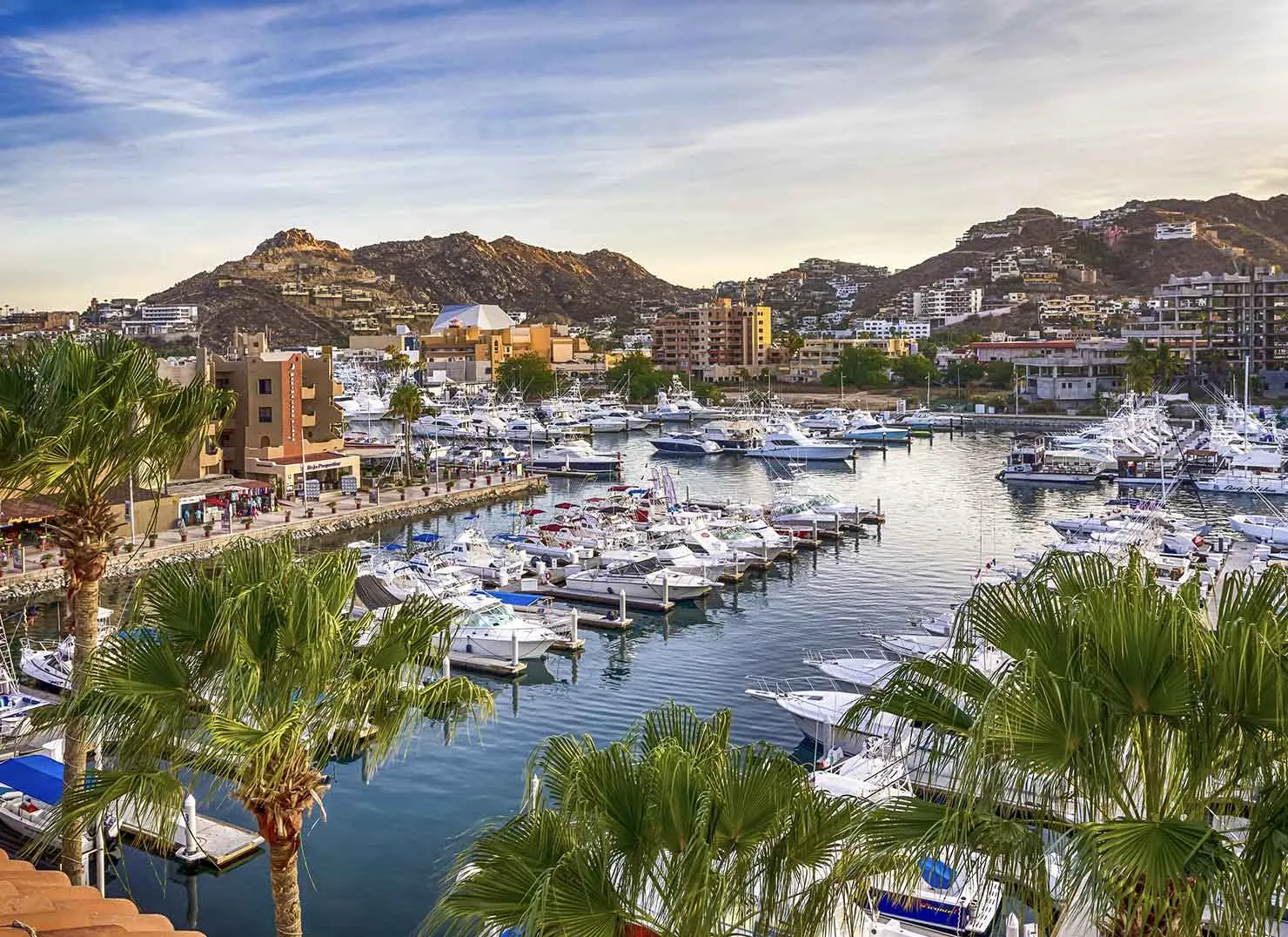 Marina de Cabo San Lucas al amanecer con flota de pesca deportiva